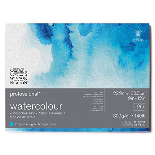 Winsor & Newton 6664002 Professional Aquarellpapier im Block - 20 Blatt 22,9 x 30,5cm, 300g/m², Feinkorn, helles natürliches weißes Papier in archivierbarer Qualität, gilbbeständig von Winsor & Newton