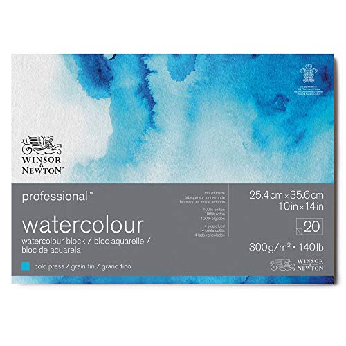 Winsor & Newton 6664003 Professional Aquarellpapier im Block - 20 Blatt 25,4 x 35,6cm, 300g/m², Feinkorn, helles natürliches weißes Papier in archivierbarer Qualität, gilbbeständig von Winsor & Newton