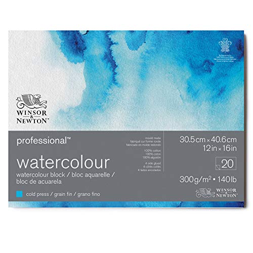 Winsor & Newton 6664004 Professional Aquarellpapier im Block - 20 Blatt 30,5 x 40,6cm, 300g/m², Feinkorn, helles natürliches weißes Papier in archivierbarer Qualität, gilbbeständig von Winsor & Newton