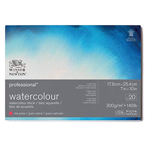 Winsor & Newton 6664005 Professional Aquarellpapier im Block - 20 Blatt 17,8 x 25,4cm , 300g/m², Satiniert, helles natürliches weißes Papier in archivierbarer Qualität, gilbbeständig von Winsor & Newton