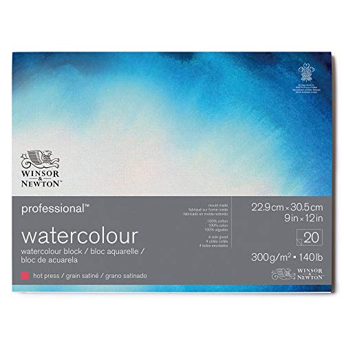 Winsor & Newton 6664006 Professional Aquarellpapier im Block - 20 Blatt 22,9 x 30,5cm , 300g/m², Satiniert, helles natürliches weißes Papier in archivierbarer Qualität, gilbbeständig von Winsor & Newton