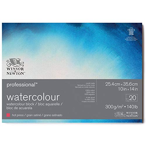 Winsor & Newton 6664007 Professional Aquarellpapier im Block - 20 Blatt 25,4 x 35,6cm , 300g/m², Satiniert, helles natürliches weißes Papier in archivierbarer Qualität, gilbbeständig von Winsor & Newton