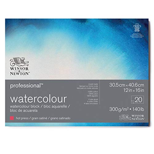 Winsor & Newton 6664008 Professional Aquarellpapier im Block - 20 Blatt 30,5 x 40,6cm, 300g/m², Satiniert, helles natürliches weißes Papier in archivierbarer Qualität, gilbbeständig von Winsor & Newton