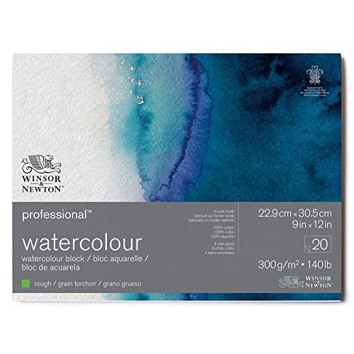 Winsor & Newton 6664010 Professional Aquarellpapier im Block - 20 Blatt 22,9 x 30,5cm, 300g/m², Grobkorn, helles natürliches weißes Papier in archivierbarer Qualität, gilbbeständig von Winsor & Newton