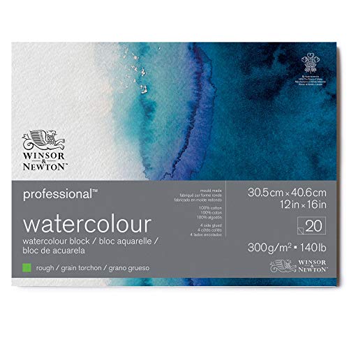 Winsor & Newton 6664012 Professional Aquarellpapier im Block - 20 Blatt 30,5 x 40,6cm, 300g/m², Grobkorn, helles natürliches weißes Papier in archivierbarer Qualität, gilbbeständig von Winsor & Newton