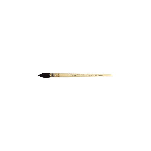 Winsor & Newton Petit Gris Pinsel8 Brush Malpinsel, Birkenholz, Transparent, Nr. 8-18 mm von Winsor & Newton