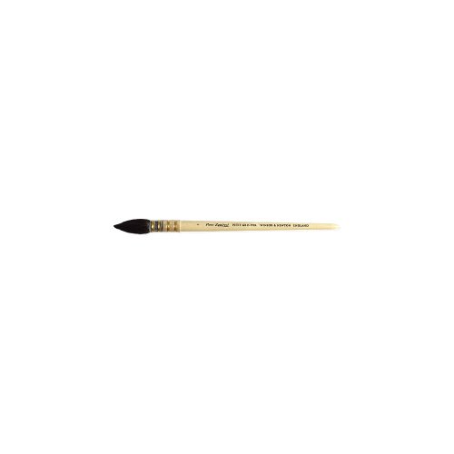 Winsor & Newton Petit Gris Pinsel8 Brush Malpinsel, Birkenholz, Transparent, Nr. 8-18 mm von Winsor & Newton