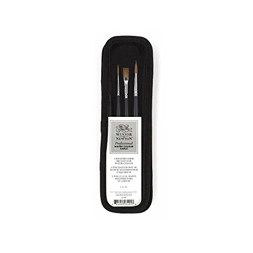 Winsor & Newton Profi Wasser Farbe Sable Pinsel Kit (Pack von 3) von Winsor & Newton