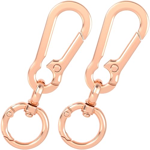 Winsyison Karabinerhaken mit doppelter Öffnung, Zinklegierung, drehbar, Karabinerhaken für Schlüsselbänder, Bastelarbeiten, Feder-Karabinerhaken, Schlüsselanhänger, Verschluss für Camping, Wandern von Winsyison