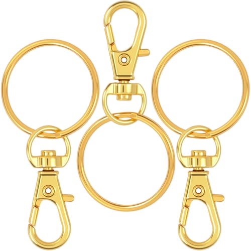 Winsyison Karabinerhaken zum Öffnen, Zinklegierung, drehbarer Karabinerverschluss für Schlüsselbänder, Feder-Karabinerhaken, Schmuckverschlüsse für Bastelarbeiten, Camping, Wandern, Reisen, Gold, 6 von Winsyison