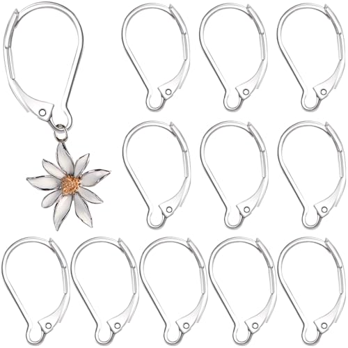 Winsyison Ohrringhaken mit Klappbügel, hypoallergener Edelstahl, französische Ohrring-Verschlüsse, D-Ring-Ohrdraht, für Schmuckherstellung, Silber, 12 Stück von Winsyison