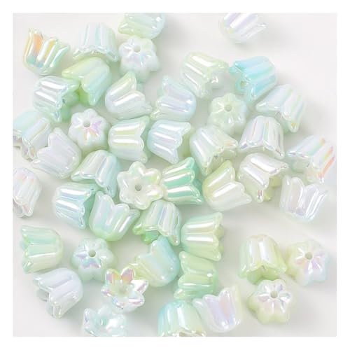Wisafory 100 Stück Acrylperlen Blumenperlen Orchideen Perlen Bunte lose Abstandshalter Regenbogen Bastelperlen für Bastelarbeiten, Armbänder, Ohrringe, Schlüsselanhänger Farbverlauf Hellgrün von Wisafory