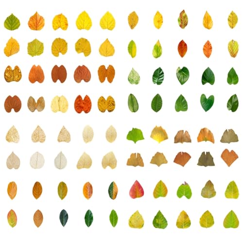 Wisafory 400 Stück Blatt Aufkleber Klein Herbstblatt Sticker Papier Selbstklebend Herbst Blätter Fensteraufkleber Dekoaufkleber für DIY Basteln Scrapbook Herbst Party Heimdekoration von Wisafory