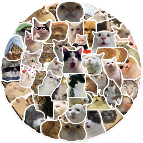 Wisafory 50 Stück Katzen-Aufkleber Set Lustiges Katzen Stickers Wasserfeste Vinyl Sticker Cute Scrapbook Aufkleber für Autos, Motorräder, Laptops, Fahrräder, Skateboards, Snowboards, Gepäck 1# von Wisafory