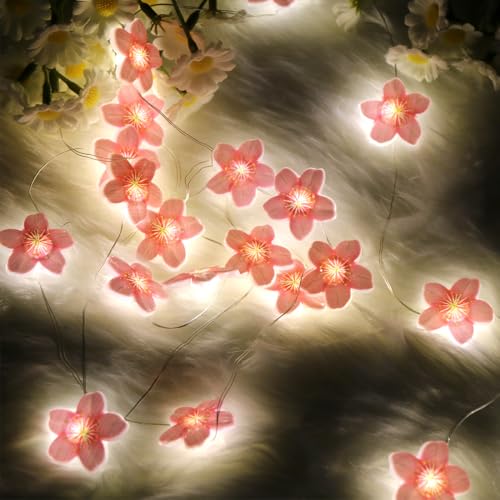 Lichterkette Kirschblüten, 200cm 20LED Blumen Lichterketten Batteriebetrieben. Dekorative Lichter für Kinderwagen, Fairy Lights für Garten, Hochzeit, Innen, Außen, Terrasse, Bäume, Party Dekoration Lichterkette Kirschblüten, 200cm 20LED Blumen Lichterketten Batteriebetrieben. Dekorative Lichter für Kinderwagen, Fairy Lights für Garten, Hochzeit, Innen, Außen, Terrasse, Bäume, Party Dekoration von Wishstar