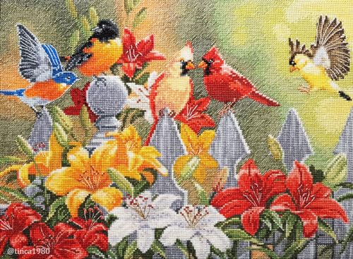 Luca-S Kreuzstich Set Hinterhofvögel mit Taglilien Zählmuster von Wizardi