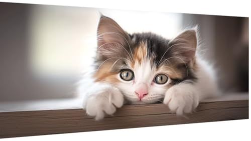 Diamond Painting Katze Muster Design, Tier Diamond Painting Erwachsene Groß XXL 80x40cm, DIY 5D Diamant Malerei Stickbilder für Kinder Anfänger, Zimmer Deko Aesthetic, Geschenke für Frauen Model808 von Wjxzsccw
