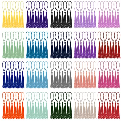 Wkmamo 160 Stück Lesezeichen Quasten,20 Farben Mini Quasten, Handgemachte Quasten Anh?nger für Schmuckherstellung, Souvenir, Lesezeichen, DIY Handwerk Zubehör von Wkmamo