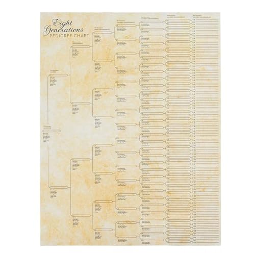 Wmool Stammbaum-Diagramm zum Ausfüllen, kompaktes Stammbaumdiagramm der 8. Generation, blanko Ahnen zum Ausfüllen, Ahnentafel zum Ausfüllen Wmool Stammbaum-Diagramm zum Ausfüllen, kompaktes Stammbaumdiagramm der 8. Generation, blanko Ahnen zum Ausfüllen, Ahnentafel zum Ausfüllen von Wmool