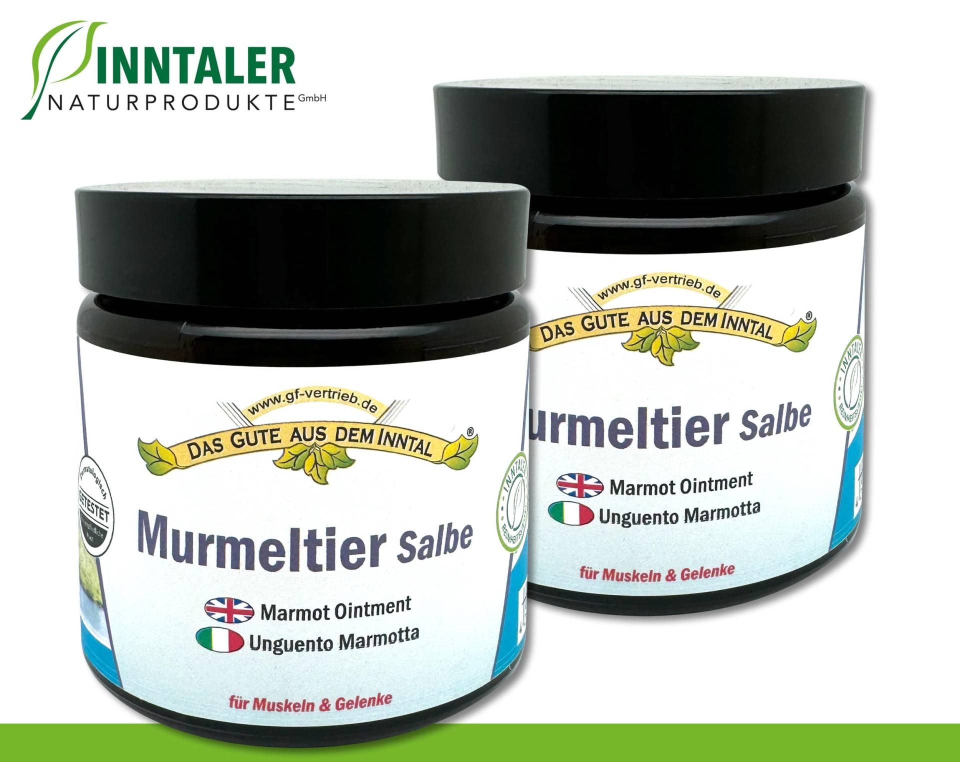 2 X 110 Ml Murmeltier Salbe Im Glastiegel Für Muskeln Und Gelenke Inntaler Naturprodukte 2 X 110 Ml Murmeltier Salbe Im Glastiegel Für Muskeln Und Gelenke Inntaler Naturprodukte von WohnkultDeko