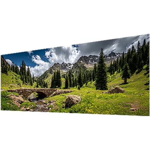 Diamond Painting Berg, Diamond Painting Erwachsene und Kinder DIY 5D Diamante Malerei Bilder Baum Stickerei Kreuzstic Mosaikherstellung Basteln für Anfänger, Deko Wohnzimmer Geschenke 25X60cm w-993 von Wohoaqig