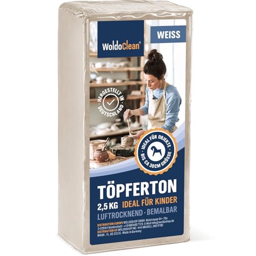 Modelliermasse lufttrocknend weiß 2.5kg - Bastelton für Kinder & Erwachsene, lufttrocknend, wetterfest & bemalbar sowie fein & geschmeidig Modelliermasse lufttrocknend weiß 2.5kg - Bastelton für Kinder & Erwachsene, lufttrocknend, wetterfest & bemalbar sowie fein & geschmeidig von WoldoClean