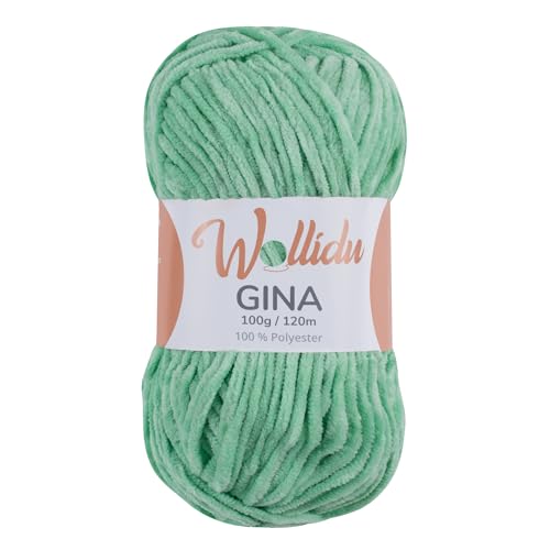 Wollidu Gina Chenille Garn zum Stricken und Häkeln 1 x 100g/120m Set 100% Polyester - Hellgrün von Wollidu