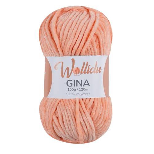 Wollidu Gina Chenille Garn zum Stricken und Häkeln 1 x 100g/120m Set 100% Polyester - Lachs von Wollidu