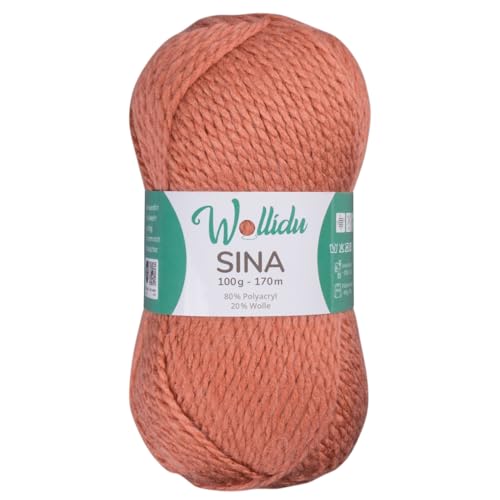 Wollidu Sina Wolle zum Stricken und Häkeln 100g Premium Strickwolle/Häkelwolle Set OEKO-TEX zertifiziert 1 x 100g/170m 80% Polyacryl 20% Schafwolle mulesing-frei - Erdrosa Wollidu Sina Wolle zum Stricken und Häkeln 100g Premium Strickwolle/Häkelwolle Set OEKO-TEX zertifiziert 1 x 100g/170m 80% Polyacryl 20% Schafwolle mulesing-frei - Erdrosa von Wollidu