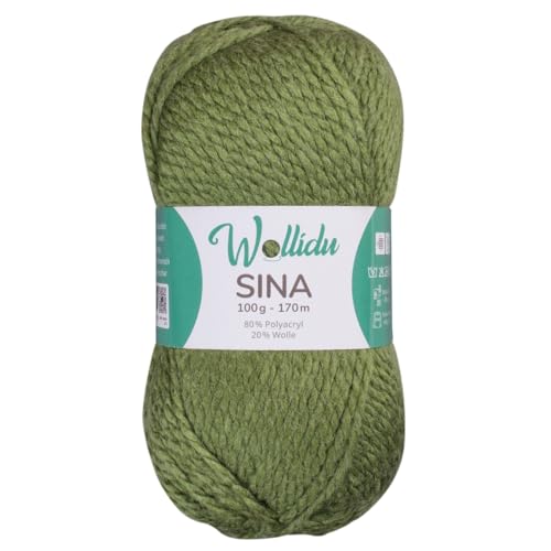 Wollidu Sina Wolle zum Stricken und Häkeln 100g Premium Strickwolle/Häkelwolle Set OEKO-TEX zertifiziert 1 x 100g/170m 80% Polyacryl 20% Schafwolle mulesing-frei - Grün von Wollidu