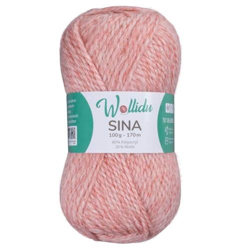 Wollidu Sina Wolle zum Stricken und Häkeln 100g Premium Strickwolle/Häkelwolle Set OEKO-TEX zertifiziert 1 x 100g/170m 80% Polyacryl 20% Schafwolle mulesing-frei - Hellrosa Melange Wollidu Sina Wolle zum Stricken und Häkeln 100g Premium Strickwolle/Häkelwolle Set OEKO-TEX zertifiziert 1 x 100g/170m 80% Polyacryl 20% Schafwolle mulesing-frei - Hellrosa Melange von Wollidu