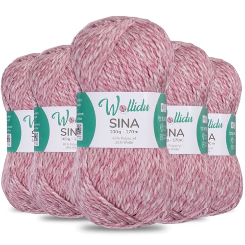 Wollidu Sina Wolle zum Stricken und Häkeln 500g Premium Strickwolle/Häkelwolle Set OEKO-TEX zertifiziert 5 x 100g/170m 80% Polyacryl 20% Schafwolle mulesing-frei - Altrosa Melange von Wollidu