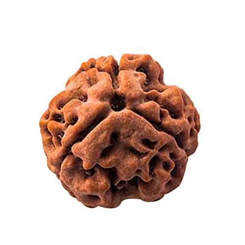 Wonder Care – Original indonesische Rudraksha mit zehn Gesichtern, 9 Mukhi Rudraksha-Perlen, natürliche Rudra, religiöse Rosenkranzperle Wonder Care – Original indonesische Rudraksha mit zehn Gesichtern, 9 Mukhi Rudraksha-Perlen, natürliche Rudra, religiöse Rosenkranzperle von Wonder Care