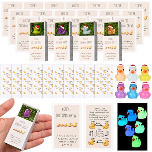 Wonderjune 36 Sets Weihnachtsgeschenke für Mitarbeiter, Emotionale Unterstützung, kleine Geschenke für Kollegen, inspirierende, lustige Enten, Dankeschön-Geschenke, positive Bestätigungsboxen für Wonderjune 36 Sets Weihnachtsgeschenke für Mitarbeiter, Emotionale Unterstützung, kleine Geschenke für Kollegen, inspirierende, lustige Enten, Dankeschön-Geschenke, positive Bestätigungsboxen für von Wonderjune