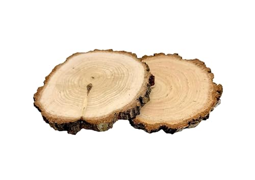 Set mit 2 Holzscheiben mit Rinde 12–15 cm, Beidseitig Geschliffene Dekoscheiben für DIY, Bastelarbeiten, Dekoration, Hochzeiten und Feste von Wooden World