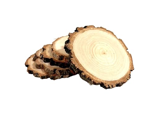 Set mit 5 natürlichen Holzscheiben mit Rinde (12–15 cm) – umweltfreundlich, beidseitig geschliffen, ideal für DIY, Handarbeiten, Dekorationen, Hochzeiten und Feiertage von Wooden World