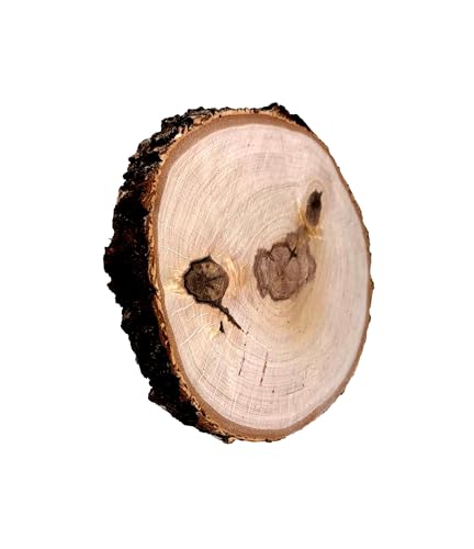 Wooden World – Natürliche Holzscheibe, Durchmesser 20–24 cm, Dicke 2,8 cm, rustikale Deko mit Rinde, beidseitig glatt, zum Bemalen, Gravieren, DIY, handgefertigt Wooden World – Natürliche Holzscheibe, Durchmesser 20–24 cm, Dicke 2,8 cm, rustikale Deko mit Rinde, beidseitig glatt, zum Bemalen, Gravieren, DIY, handgefertigt von Wooden World