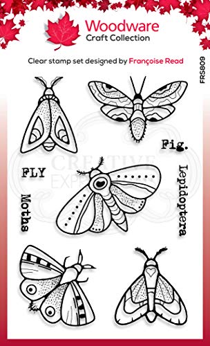Woodware FRS809 Klare Singles Moths-transparenter Photopolymer-Stempel, haftet an Acrylblöcken, dekoratives Zubehör für Karten, Journal, DIY-Basteln/Kunst, Durchsichtig, A6 von Woodware