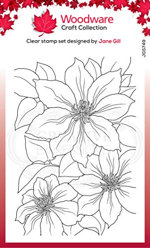 Woodware Jane Gill Clear Magic Stempel-Set, Clematis, transparent, 13,5 x 10 cm Woodware Jane Gill Clear Magic Stempel-Set, Clematis, transparent, 13,5 x 10 cm von Woodware
