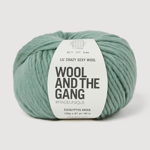Wool and the Gang, Lil' Crazy Sexy Wolle, Eukalyptusgrün, 100 g, grob Wool and the Gang, Lil' Crazy Sexy Wolle, Eukalyptusgrün, 100 g, grob von Wool and the Gang