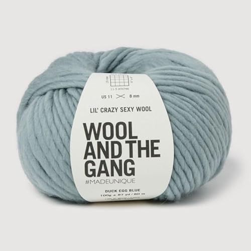 Wool and the Gang, Lil' Crazy Sexy Wolle, Zarteiblau, 100 g, grob Wool and the Gang, Lil' Crazy Sexy Wolle, Zarteiblau, 100 g, grob von Wool and the Gang