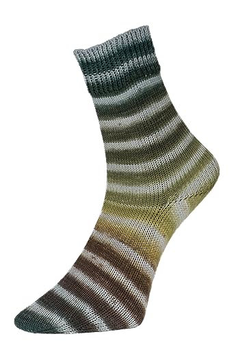 Woolly Hugs Paint Socks von Veronika Hug,4-fädig,100g/420 m,75% Schurwolle/25% Polyamid,2 identische Socken stricken, (206 GRAU GRÜN) von Woolly Hugs