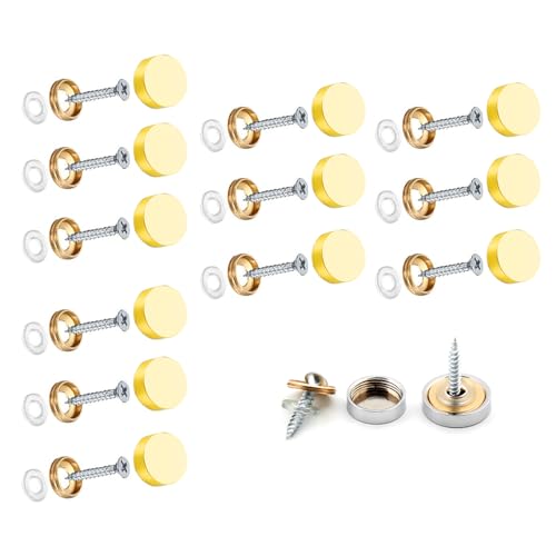 Wopanxye Spiegelschrauben aus Edelstahl, 16 mm, Metall-Spiegelnägel mit dekorativen Kappen, Messingabdeckungen, Hardware mit Unterlegscheibe für Möbelbeschläge, Badplatten, Couchtische von Wopanxye