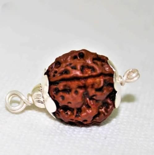 WorldwideGem Char Mukhi Rudraksha Authentic 4 Mukhi Rudraksha Original Certified Chaturmukhi 4 Face Rudraksha von WorldwideGem
