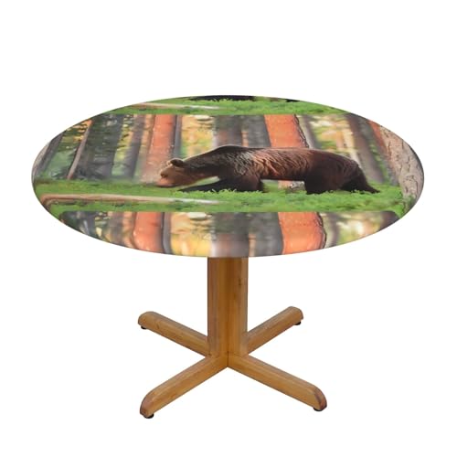 Wratle Runde Tischdecke, rund, Motiv: Braunbär von Wratle