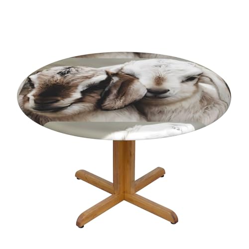 Wratle Runde Tischdecke, runde Tischdecke, Tischdecke, niedliches Schaf von Wratle