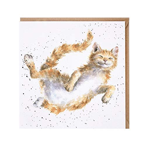 Wrendale - CS135 - Grußkarte, Doppelkarte mit Umschlag, Katze, The Cat Nap, 15cm x 15cm, quadratisch von Wrendale Designs