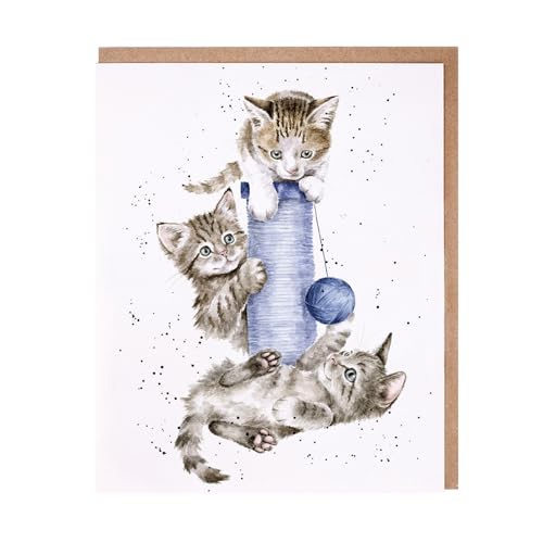 Wrendale - JCS243 - Doppelkarte mit Umschlag, The Country Set, Katzen spielen am Kratzbaum, Three´s a Crowd, 17cm x 14cm Wrendale - JCS243 - Doppelkarte mit Umschlag, The Country Set, Katzen spielen am Kratzbaum, Three´s a Crowd, 17cm x 14cm von Wrendale Designs