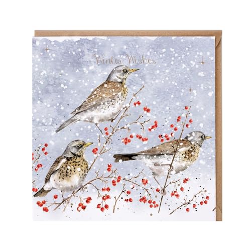 Wrendale - JX104 - Doppelkarte mit Umschlag, Weihnachten, Vögel, Happy Christmas, 15cm x 15cm Wrendale - JX104 - Doppelkarte mit Umschlag, Weihnachten, Vögel, Happy Christmas, 15cm x 15cm von Wrendale Designs