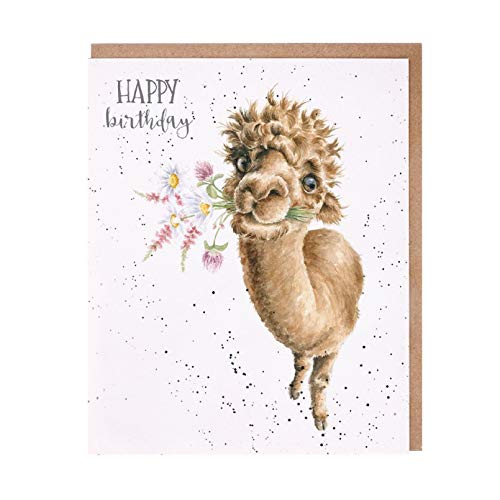Wrendale - OC099 - Grußkarte, Doppelkarte mit Umschlag, Geburtstag, Lama, Happy Birthday, 14cm x 17cm Wrendale - OC099 - Grußkarte, Doppelkarte mit Umschlag, Geburtstag, Lama, Happy Birthday, 14cm x 17cm von Wrendale Designs